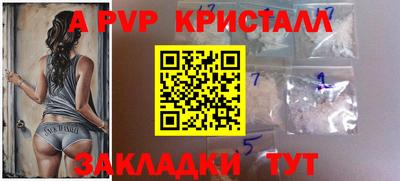 PSILOCYBIN Кингисепп