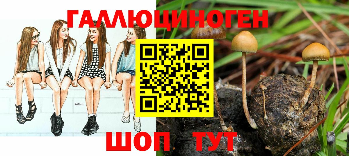 магазин    Псилоцибиновые грибы Psilocybine cubensis  Вход с VPN  Ялуторовск 